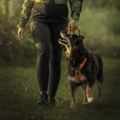 Pause Camping -Pause Camping ab04ef91 6d10 4c07 a1bc 0dde14cebc37 scaled